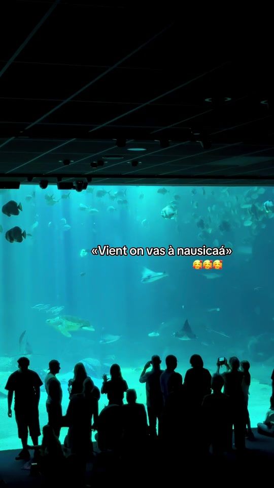 TikTok video thumbnail by arn_4007