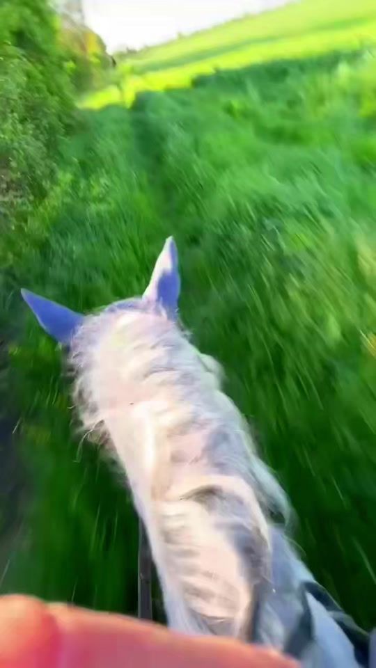 TikTok video thumbnail by sophipvaer7