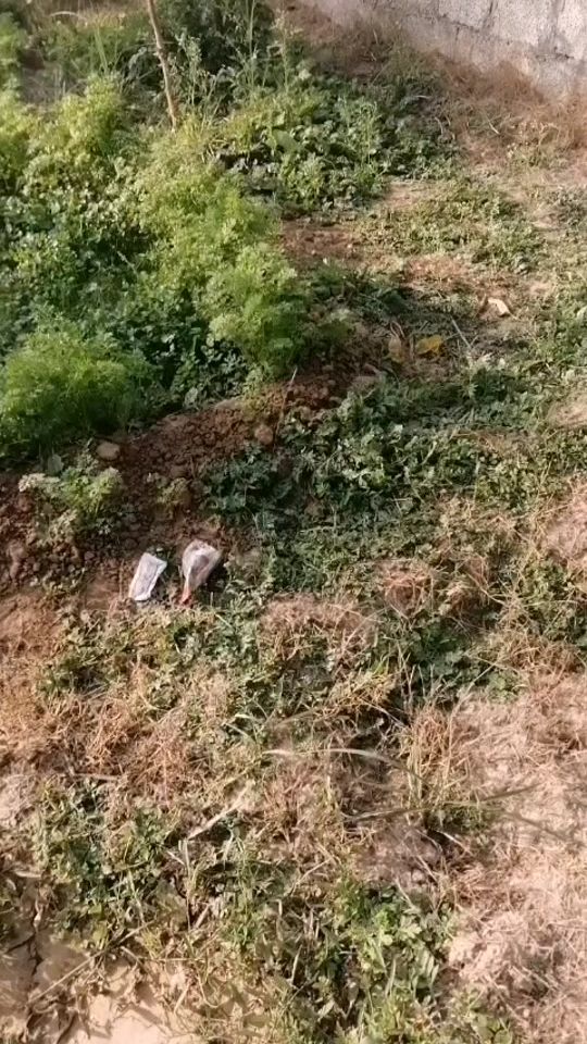 TikTok video thumbnail by syedaamnashah3