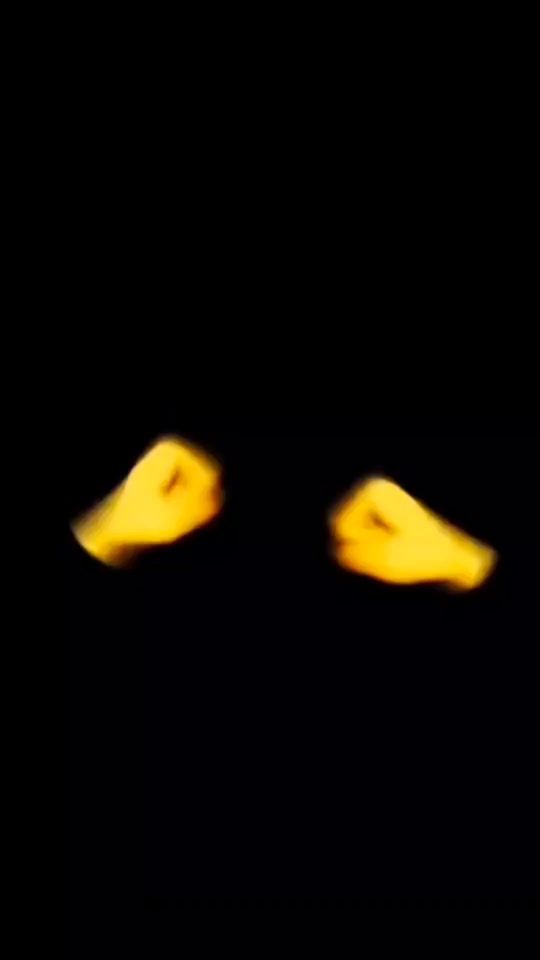 TikTok video thumbnail by ryan.de.lisi