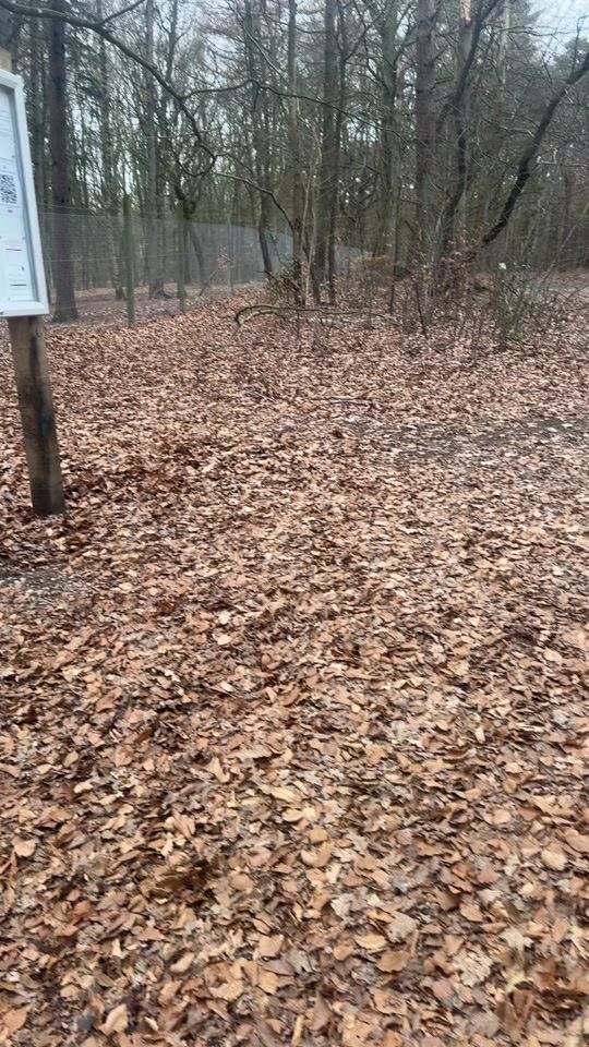 TikTok video thumbnail by monamon82