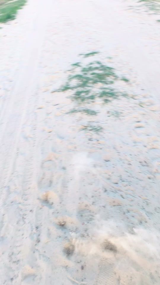 TikTok video thumbnail by pztmld22