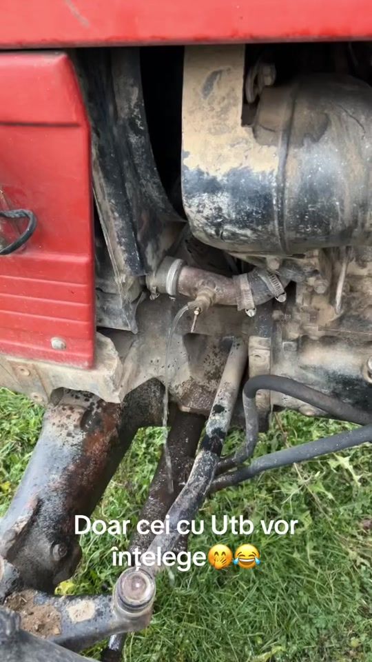 TikTok video thumbnail by florinignat06