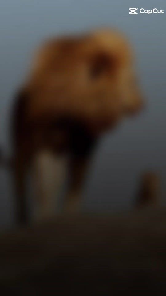 TikTok video thumbnail by emhussein.1