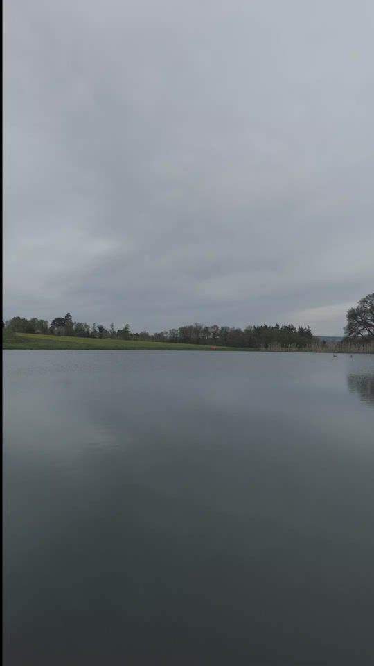 TikTok video thumbnail by marf.tc