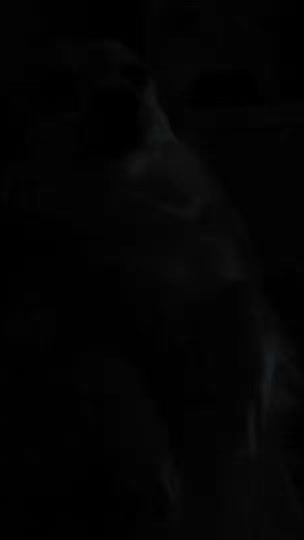 TikTok video thumbnail by nicoledoberstein4