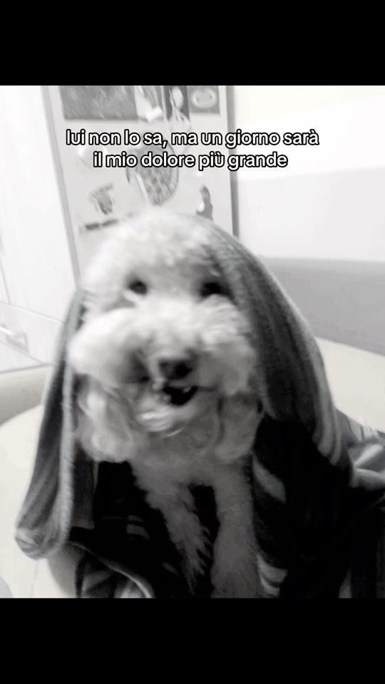 TikTok video thumbnail by serenuccia____