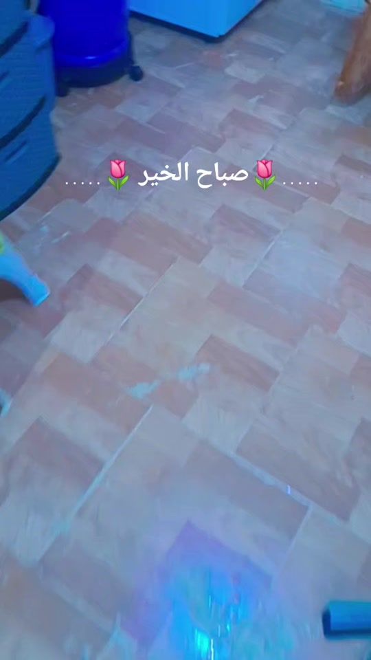 TikTok video thumbnail by shamalamal0