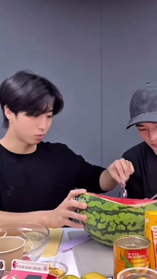 TikTok video thumbnail by _stray.k