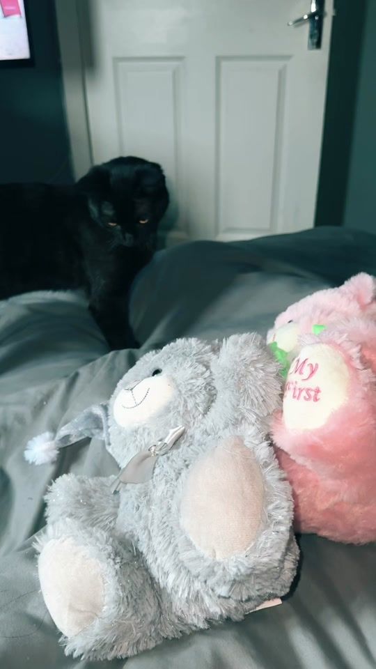 TikTok video thumbnail by tiger.bc807