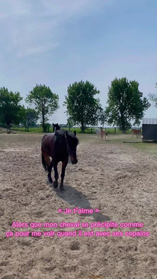 TikTok video thumbnail by l.na._.01