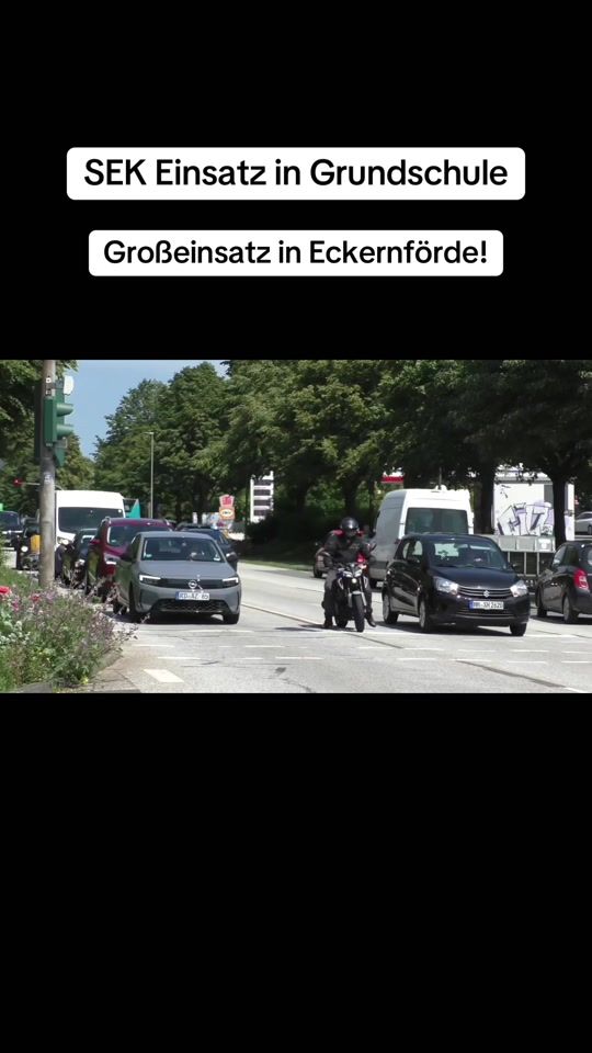 TikTok video thumbnail by blaulicht.nms