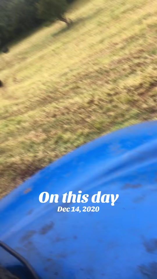 TikTok video thumbnail by eamoncarr0
