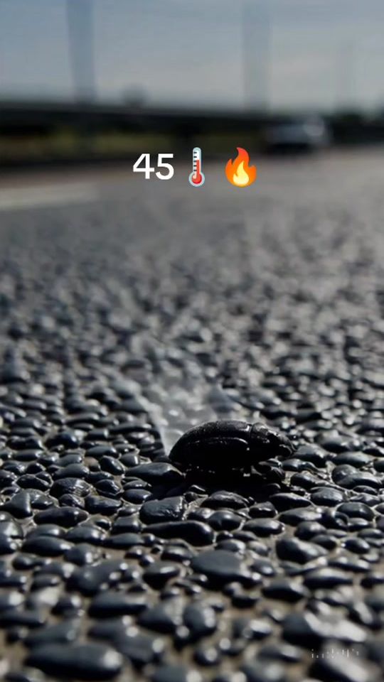 TikTok video thumbnail by dz_anatol