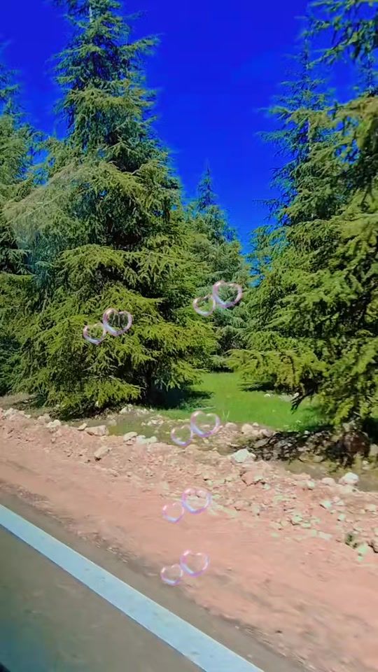 TikTok video thumbnail by jamal.paris0