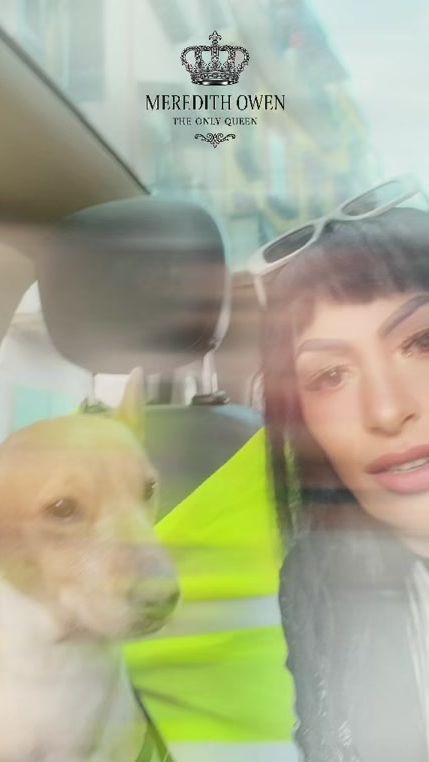 TikTok video thumbnail by ritacannavale1