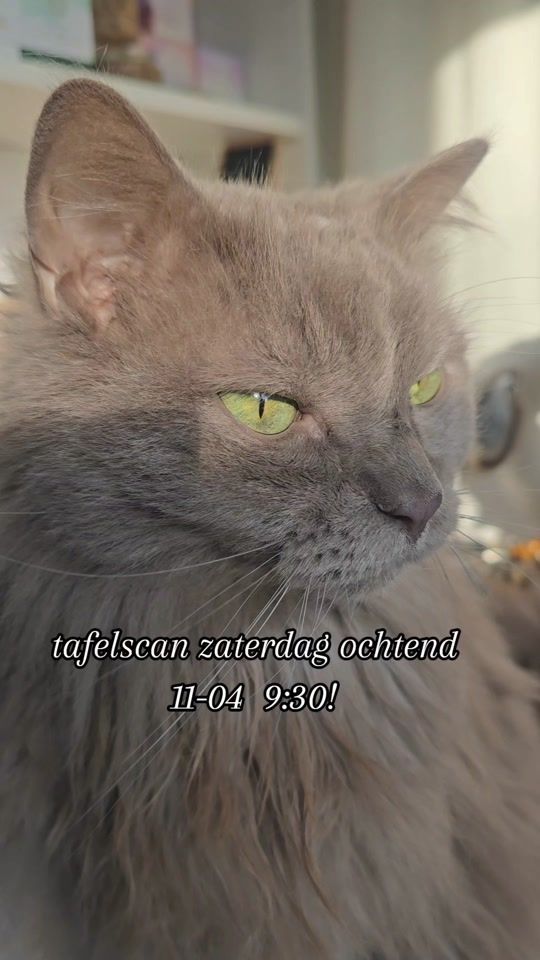 TikTok video thumbnail by mminerals.nl