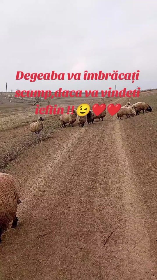 TikTok video thumbnail by dy529ppwt3vc