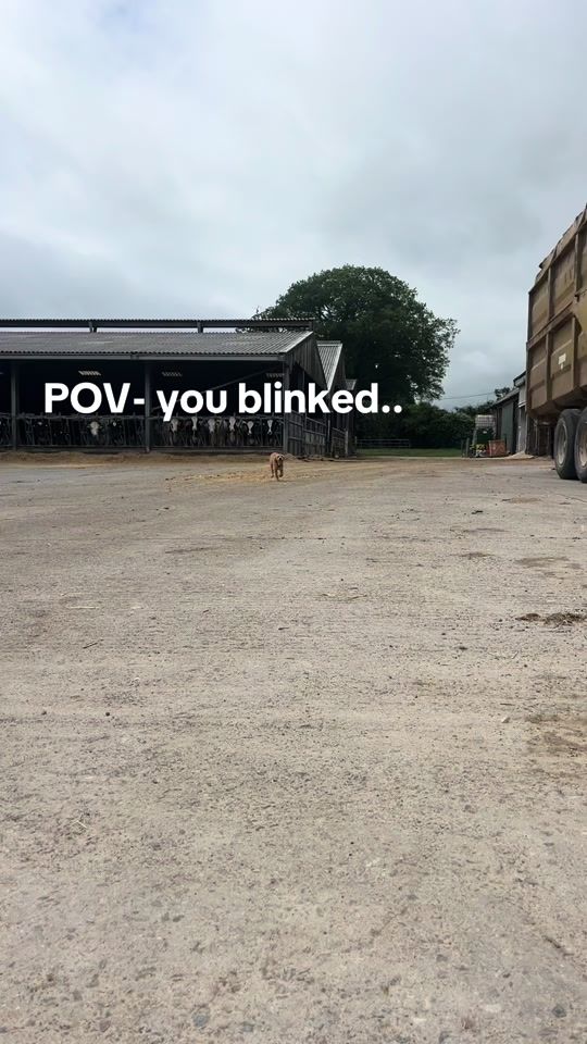TikTok video thumbnail by bencroft_