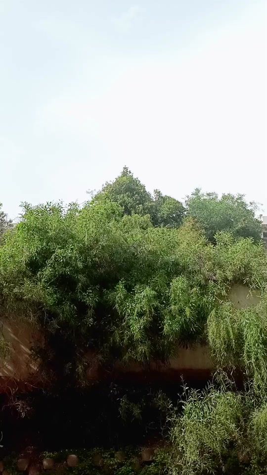 TikTok video thumbnail by khalat.karim