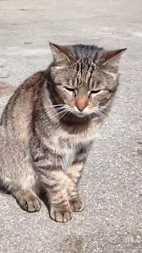 TikTok video thumbnail by markuskrujelis7