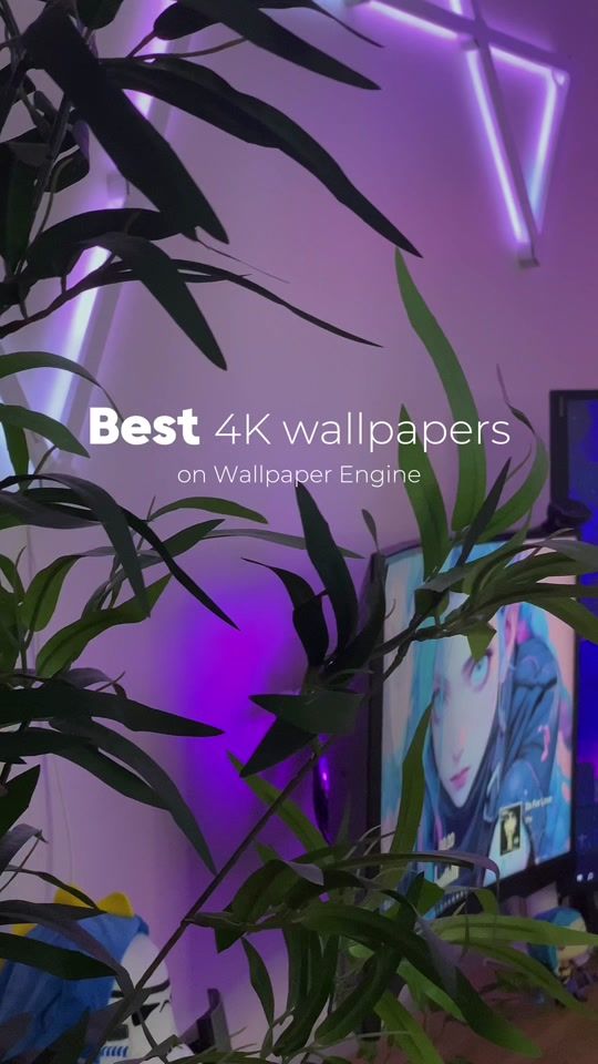 TikTok video thumbnail by vixan.exe