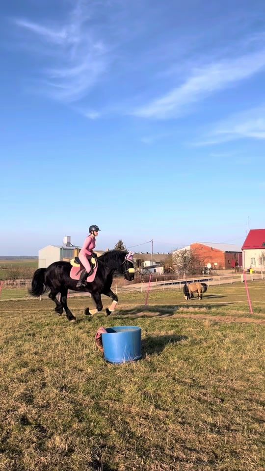 TikTok video thumbnail by nika__equestriann