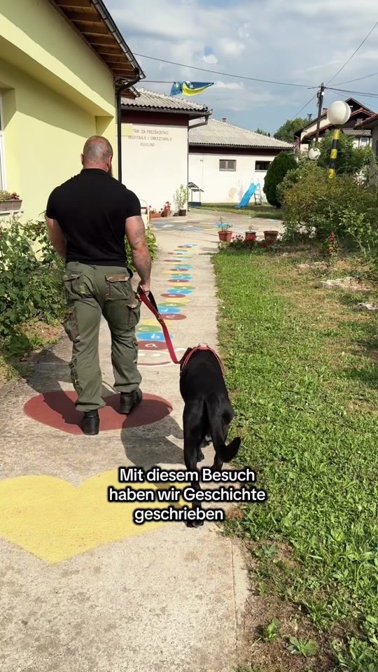 TikTok video thumbnail by thegodfatherofdogs