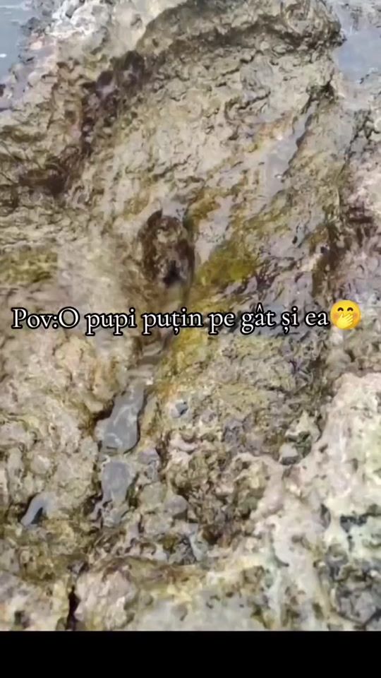 TikTok video thumbnail by vladpasquale94