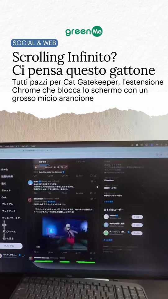 TikTok video thumbnail by greenme_it