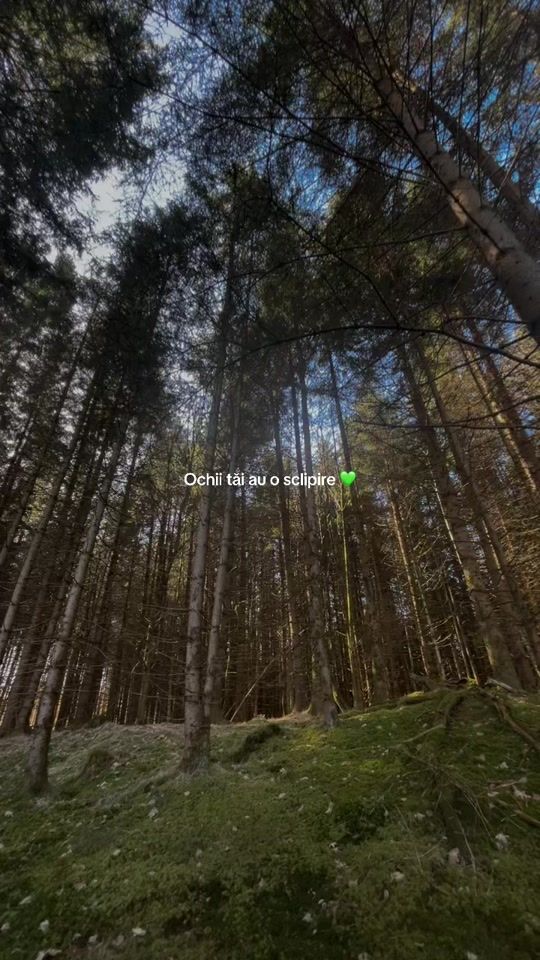 TikTok video thumbnail by andree_ww