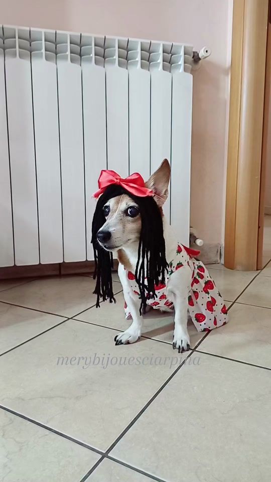 TikTok video thumbnail by merybijouesciarpina