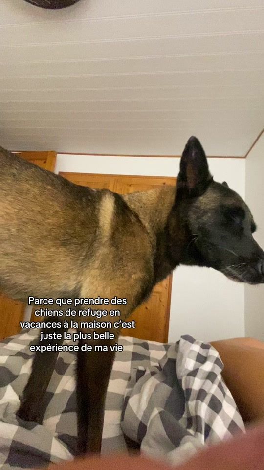 TikTok video thumbnail by queyreyre