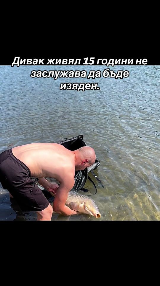 TikTok video thumbnail by totalcarp