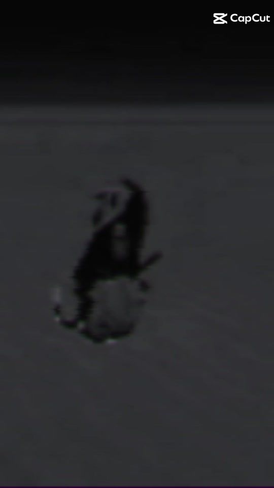TikTok video thumbnail by plus.la72
