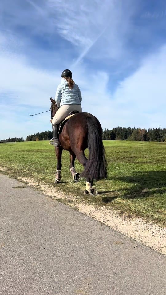 TikTok video thumbnail by springporsche.acouro