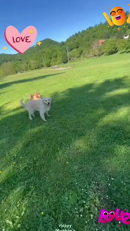 TikTok video thumbnail by skralling