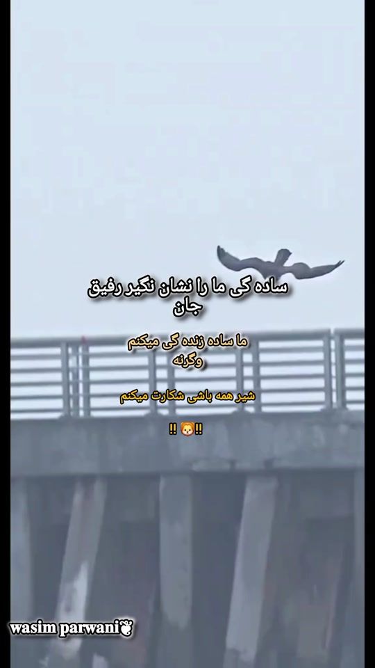 TikTok video thumbnail by wasim.akbari7