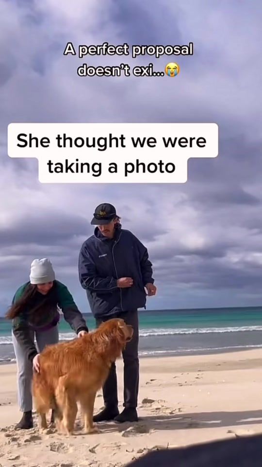 TikTok video thumbnail by thetorsband