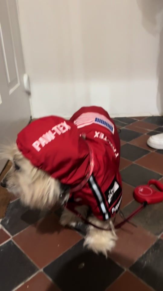 TikTok video thumbnail by jessbakersmithfrance