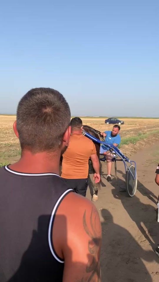 TikTok video thumbnail by tanca38