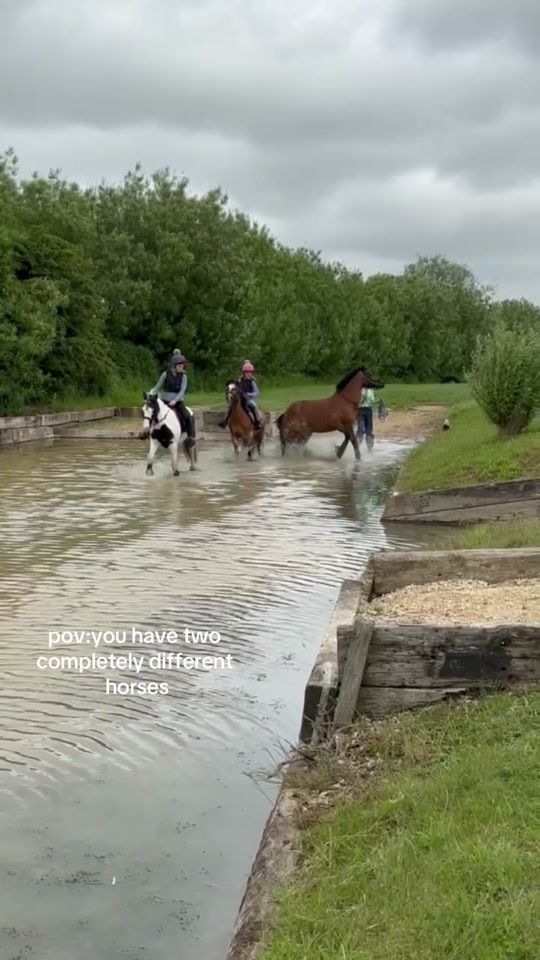 TikTok video thumbnail by rosiethewelsh