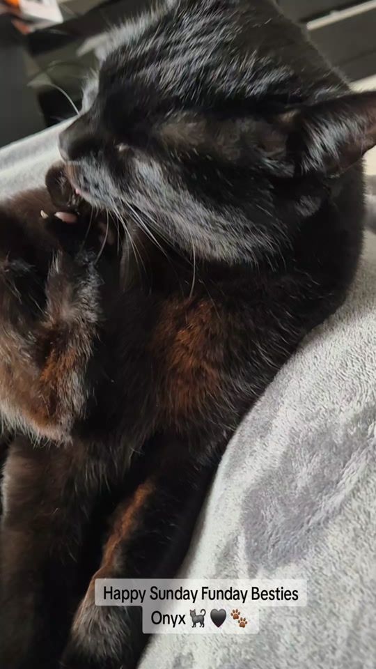TikTok video thumbnail by 0nyx_kitty