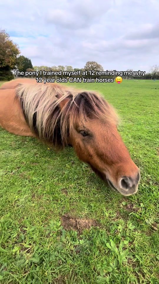 TikTok video thumbnail by bestwhenbridleless