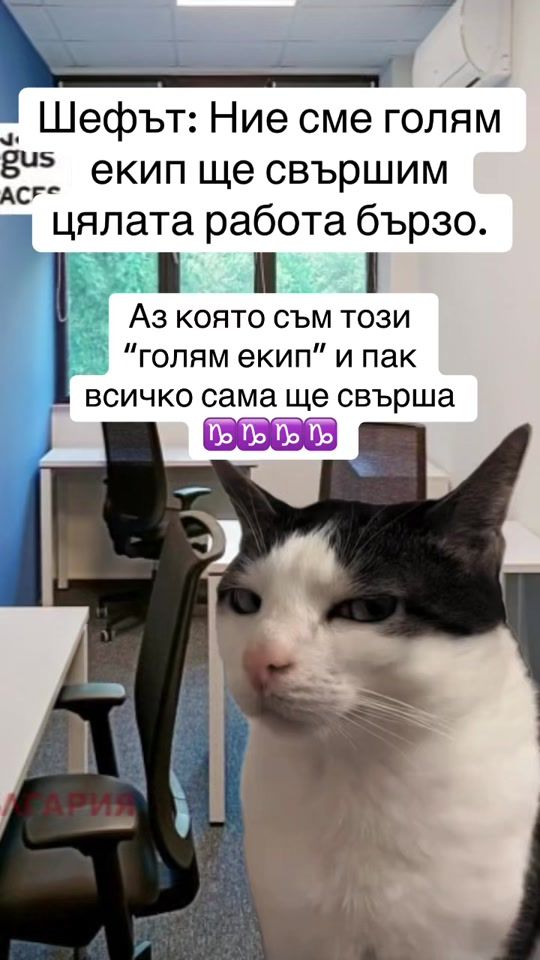 TikTok video thumbnail by angeorgieva97