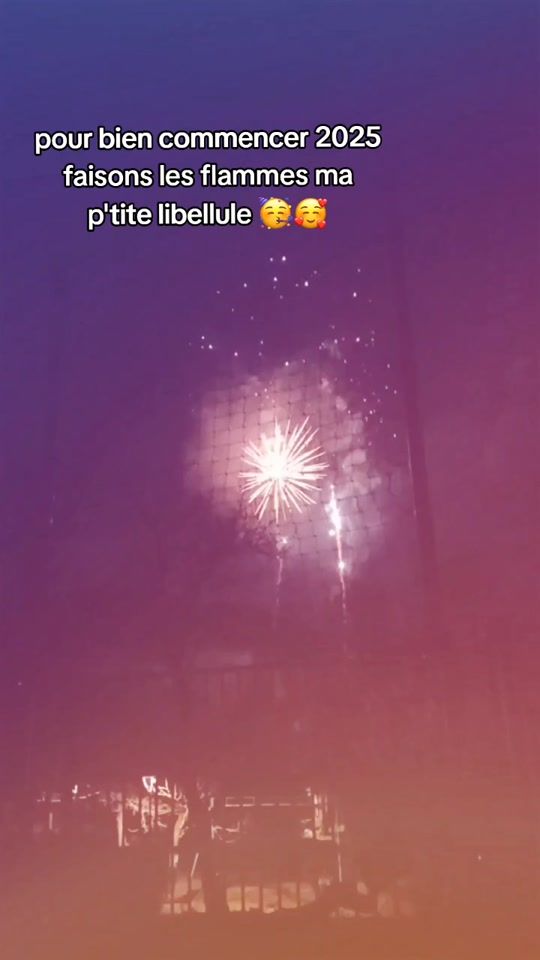 TikTok video thumbnail by flammedujour1