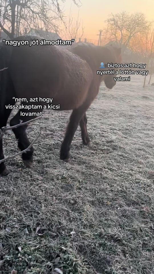 TikTok video thumbnail by itsnot.julcsi
