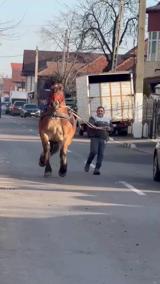TikTok video thumbnail by davidmuntean0