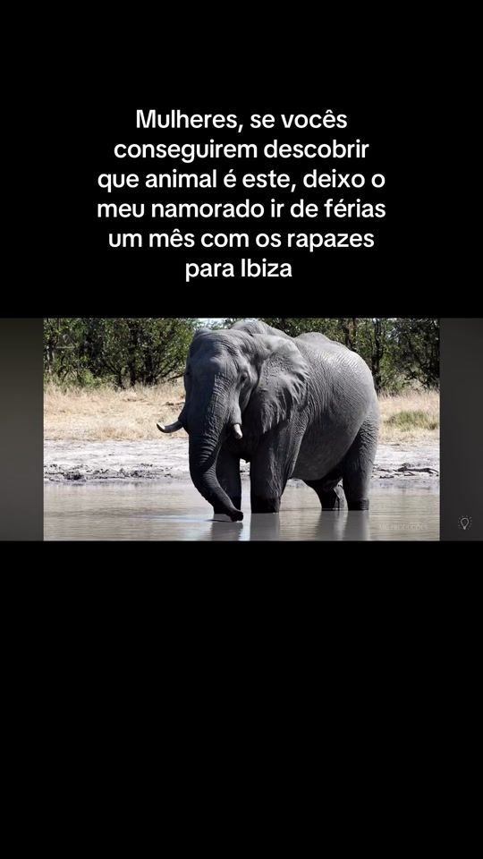 TikTok video thumbnail by cateafcasanova