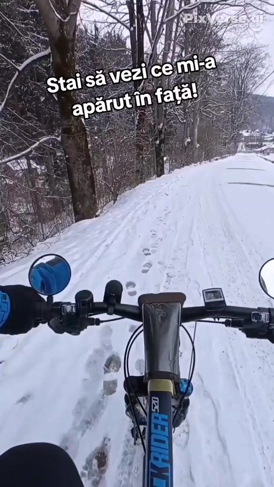 TikTok video thumbnail by liviu82_